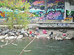 Muruferreinigung_2010 021.jpg